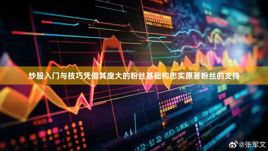 炒股入门与技巧凭借其庞大的粉丝基础和忠实原著粉丝的支持